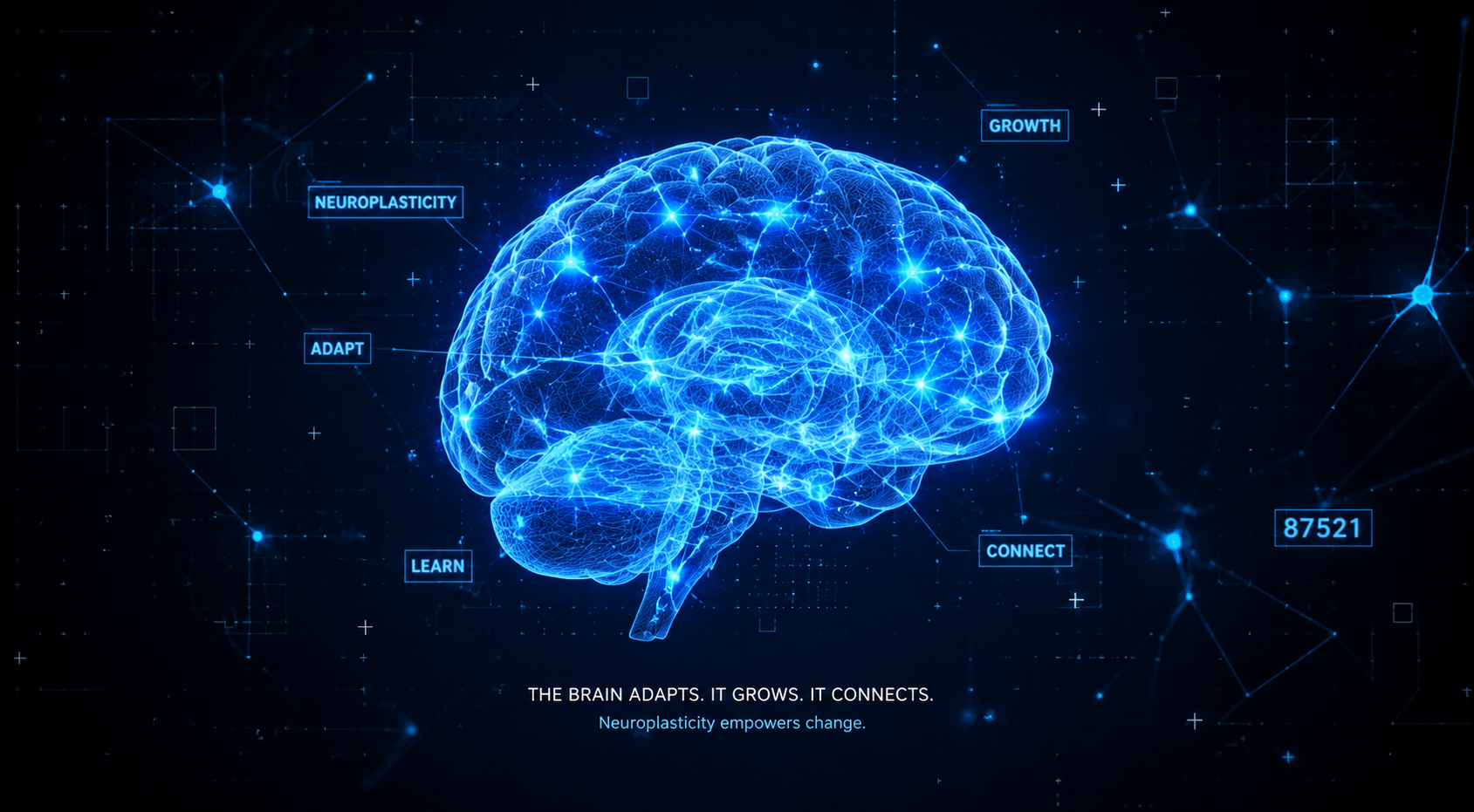 Neuroplasticity — How Hello Me Works